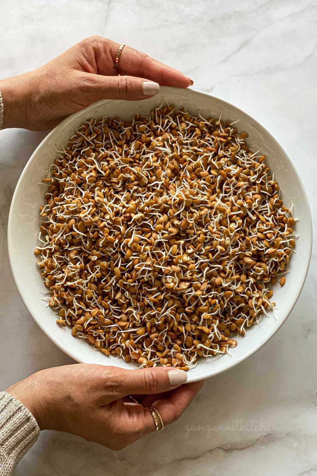 Sprouted horse gram