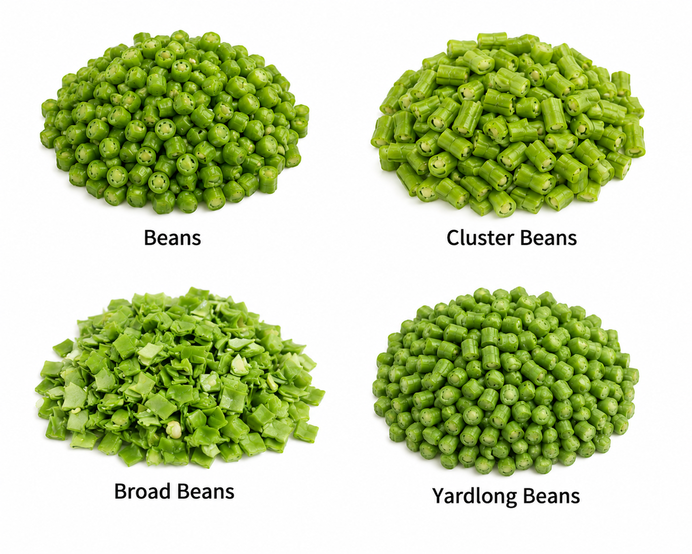 Bean Protein Pack