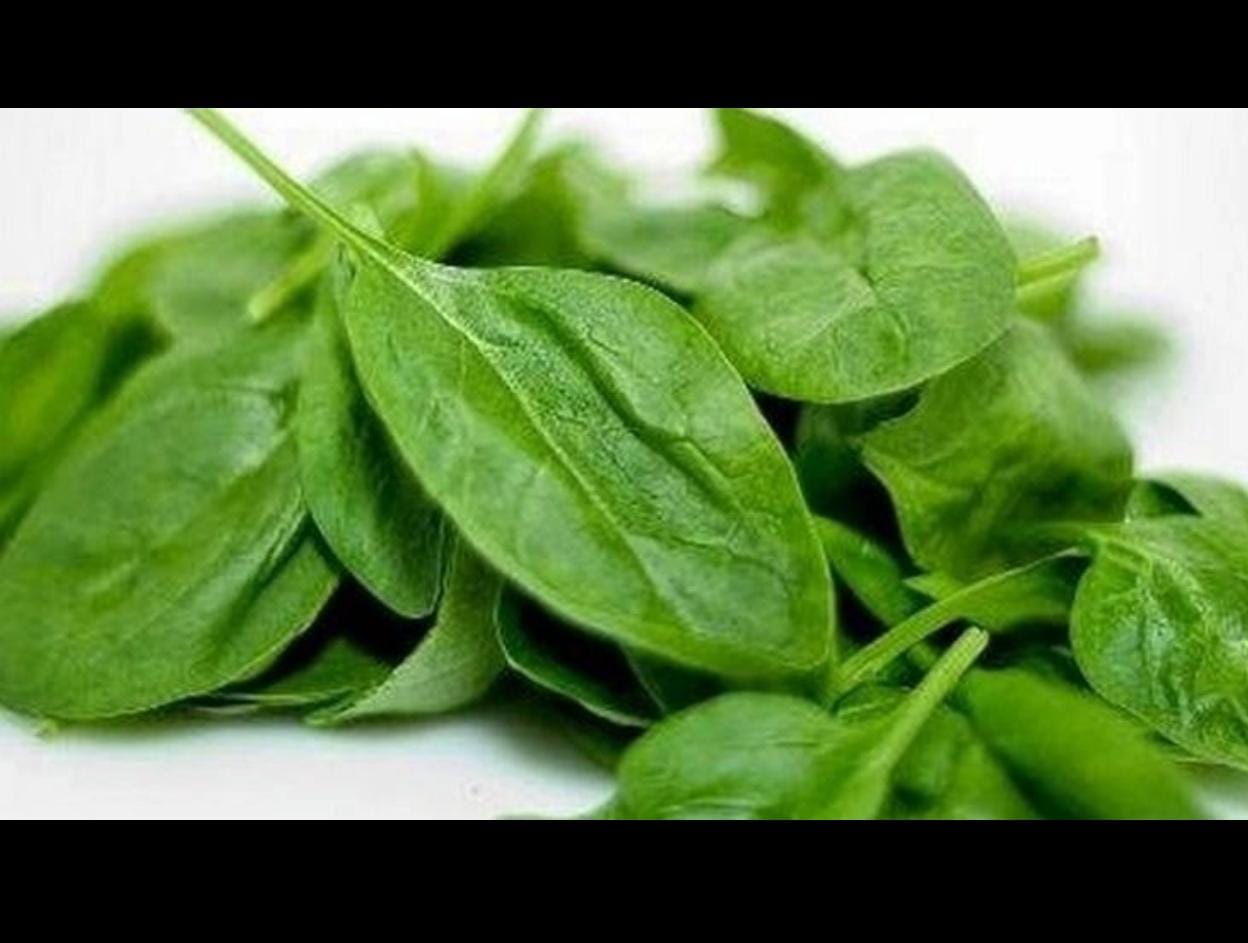Malabar Spinach